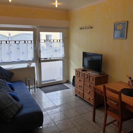 Apartmenthaus "Zum Lowen" Heidelberg - Ziegelhausen Zewnętrze zdjęcie