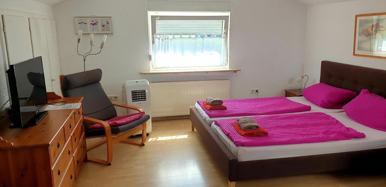 Apartmenthaus "Zum Lowen" Heidelberg - Ziegelhausen Zewnętrze zdjęcie