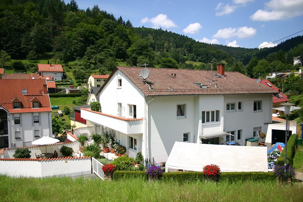 Apartmenthaus "Zum Lowen" Heidelberg - Ziegelhausen Zewnętrze zdjęcie