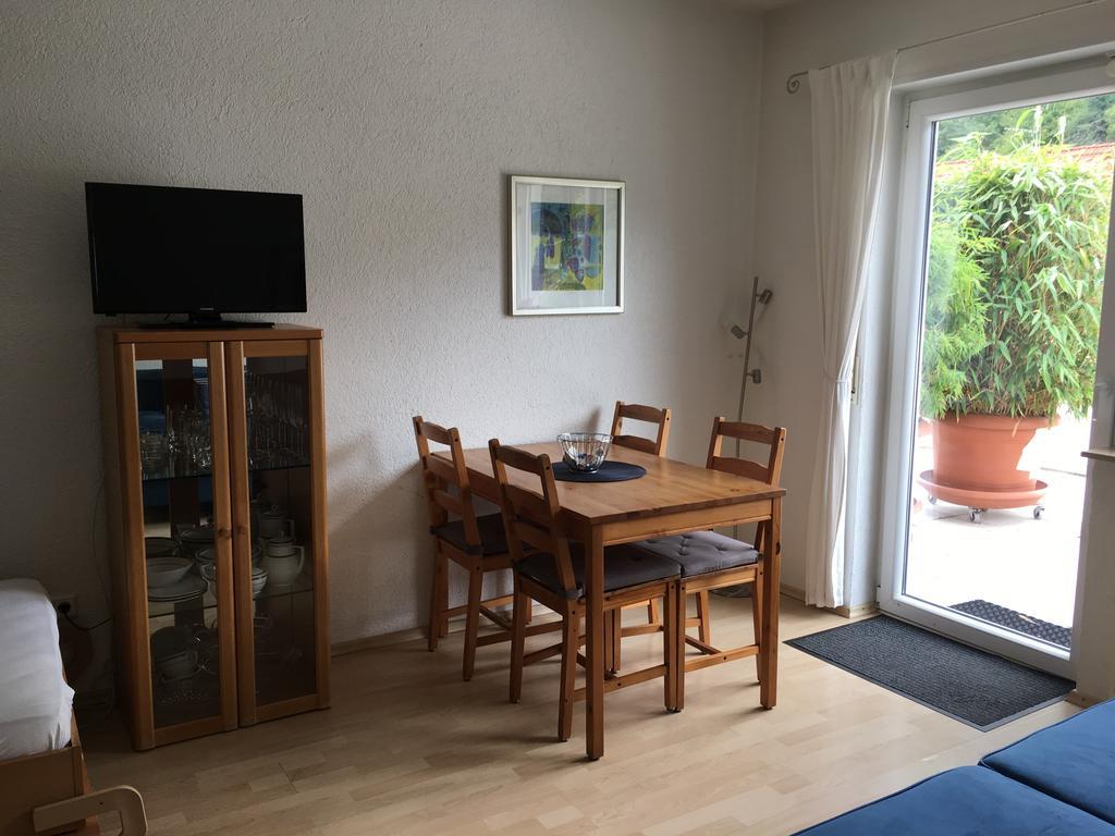 Apartmenthaus "Zum Lowen" Heidelberg - Ziegelhausen Zewnętrze zdjęcie