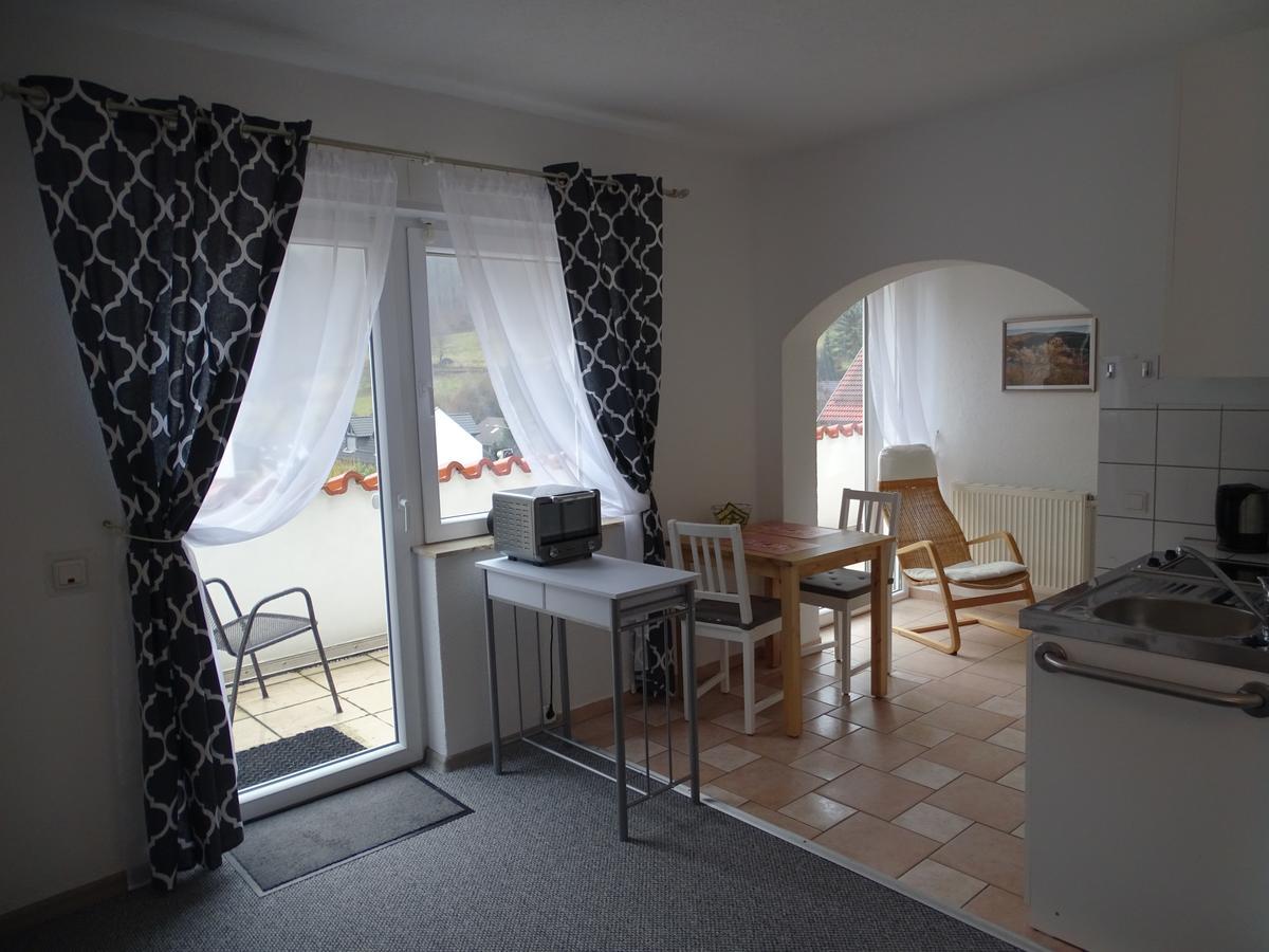 Apartmenthaus "Zum Lowen" Heidelberg - Ziegelhausen Zewnętrze zdjęcie