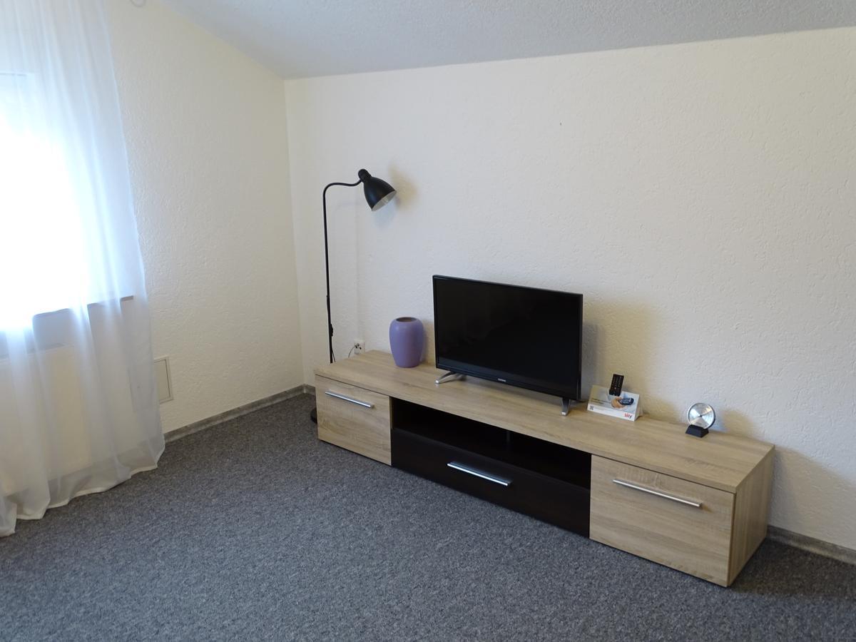 Apartmenthaus "Zum Lowen" Heidelberg - Ziegelhausen Zewnętrze zdjęcie