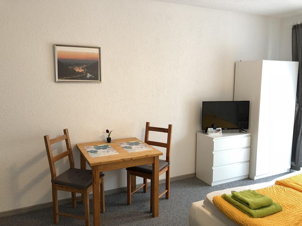 Apartmenthaus "Zum Lowen" Heidelberg - Ziegelhausen Zewnętrze zdjęcie