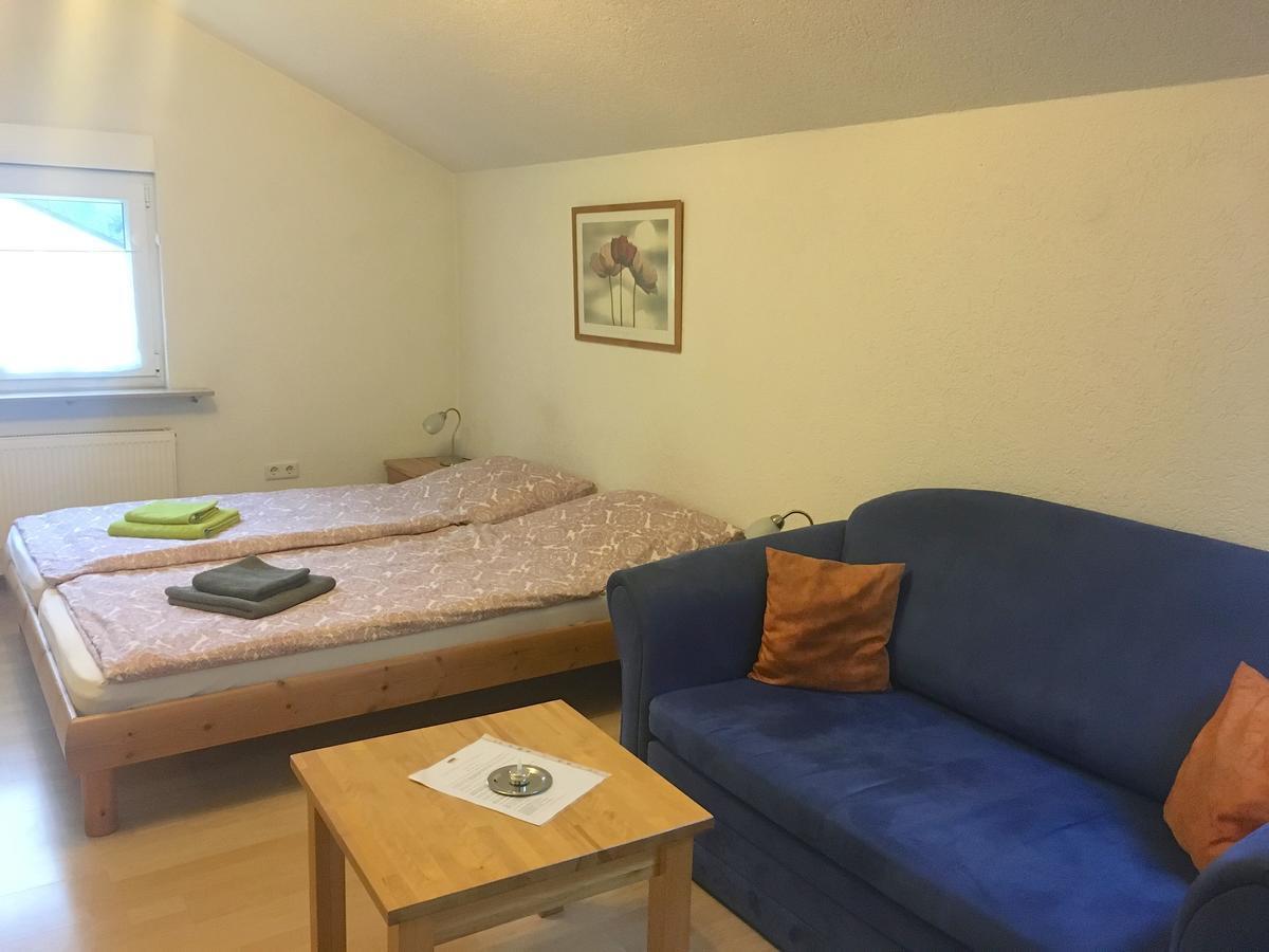 Apartmenthaus "Zum Lowen" Heidelberg - Ziegelhausen Zewnętrze zdjęcie